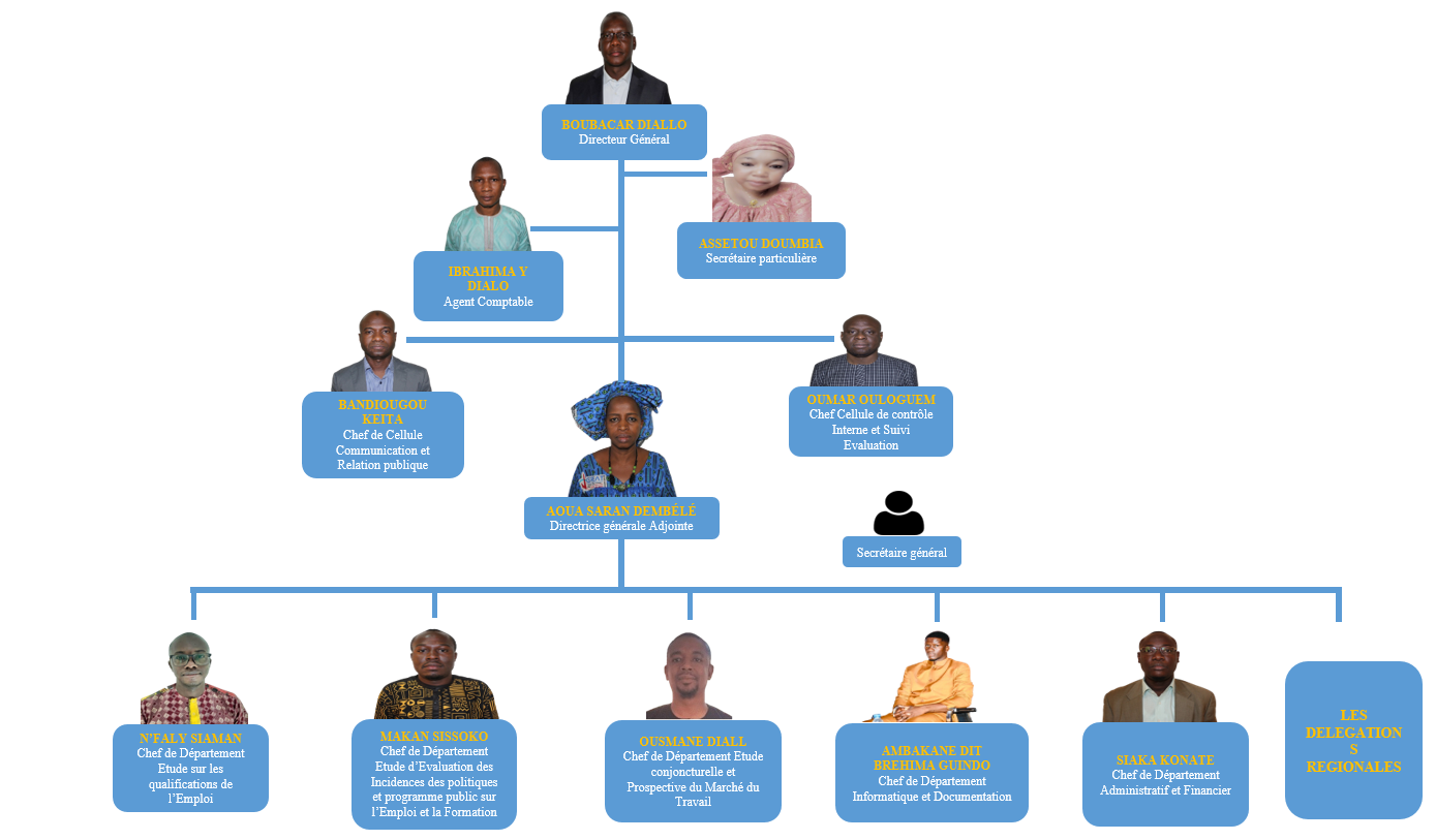 https://onef.ml/wp-content/uploads/2025/08/ORGANIGRAMME.png